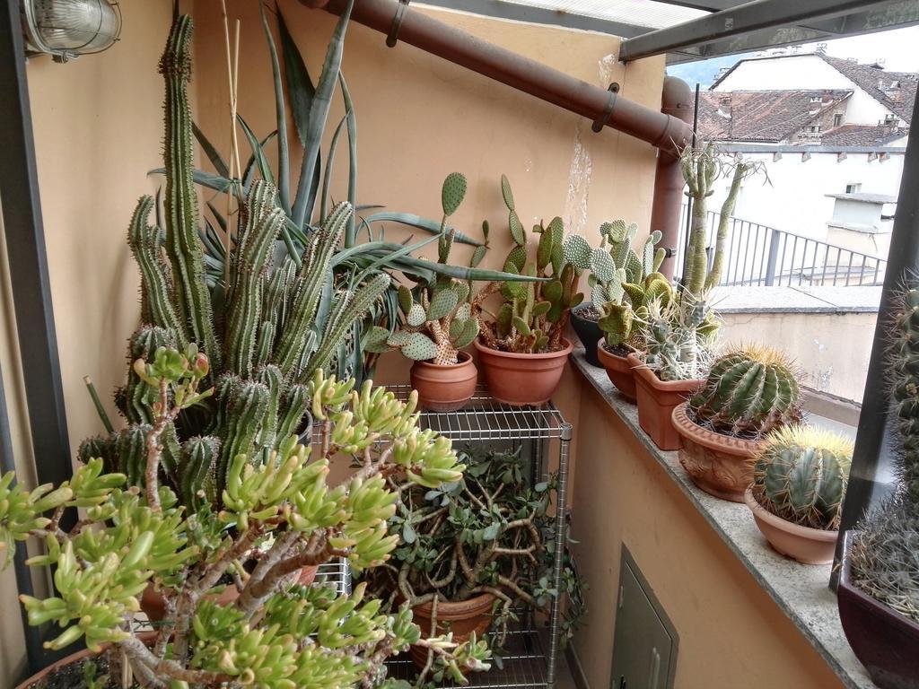 A Casa Di Gio Bed & Breakfast Turin Bagian luar foto