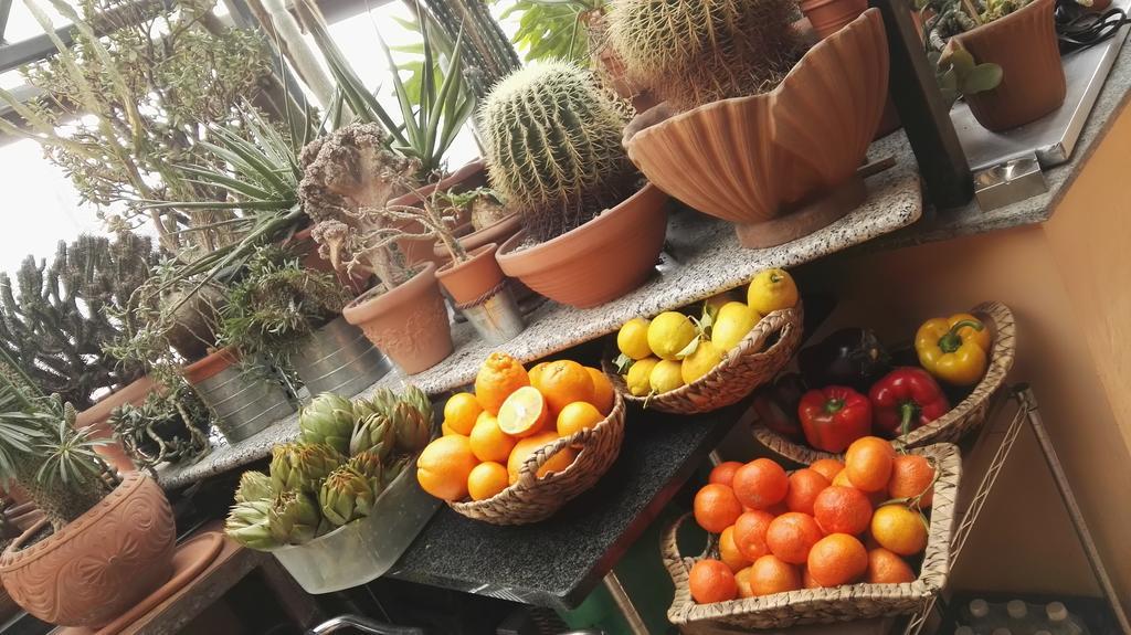 A Casa Di Gio Bed & Breakfast Turin Bagian luar foto